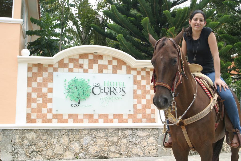 Los Cedros Uayamón Exterior foto