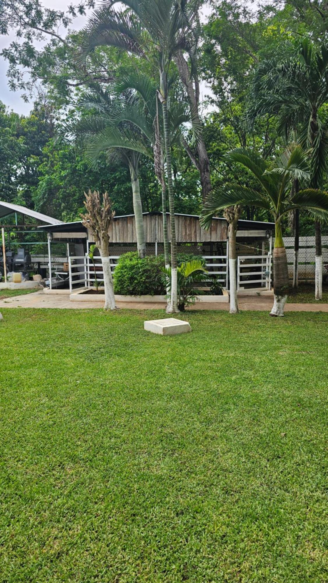 Los Cedros Uayamón Exterior foto