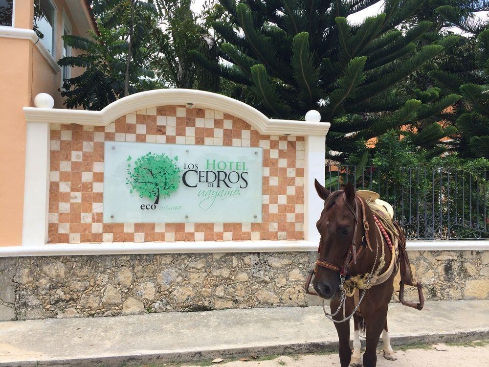 Los Cedros Uayamón Exterior foto